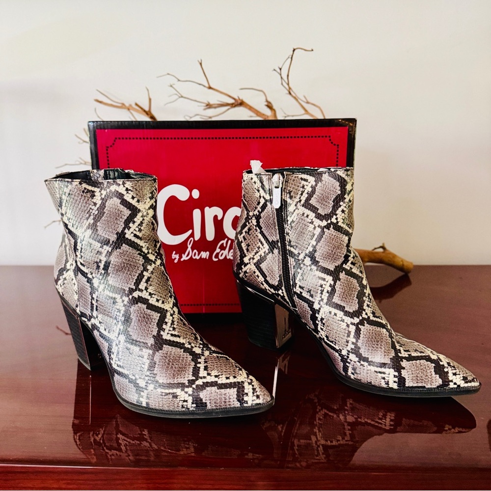 Circus by Sam Edelman Black and Gray Ankle Boots with Snakeskin Print